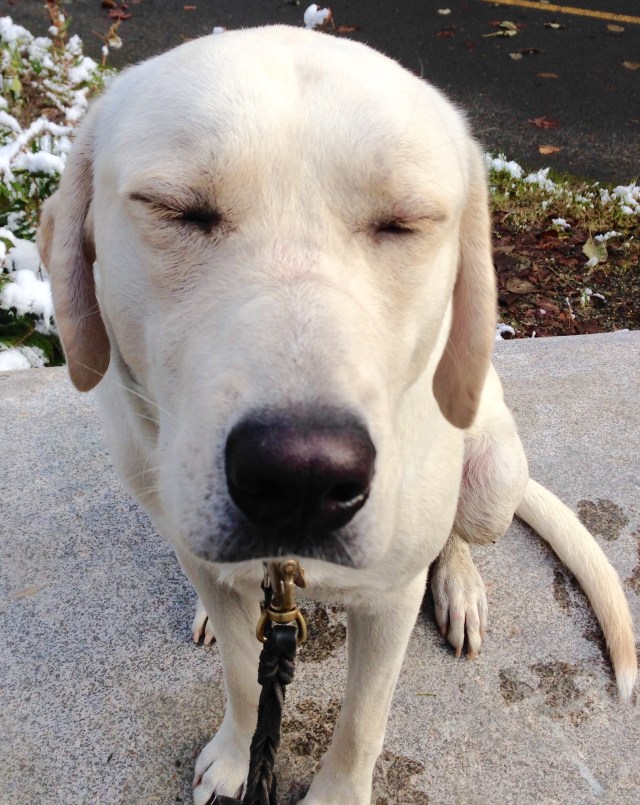 I Love You Sooooo Much!