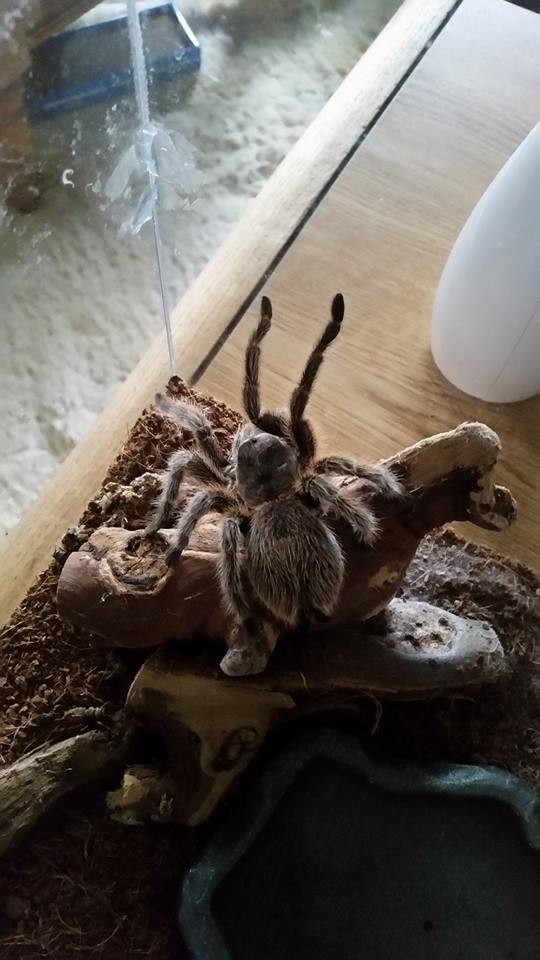 "I have nothing but love to give."