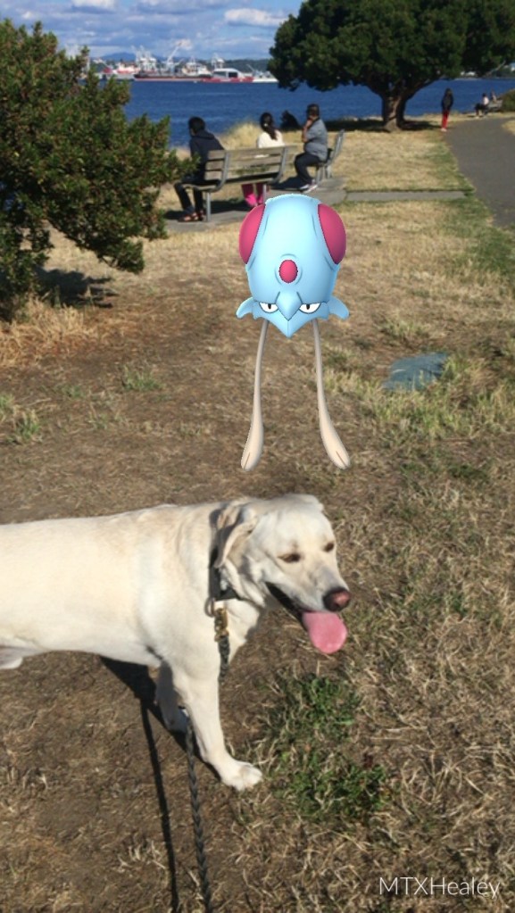 No! Tentacool shall not have my Xander!